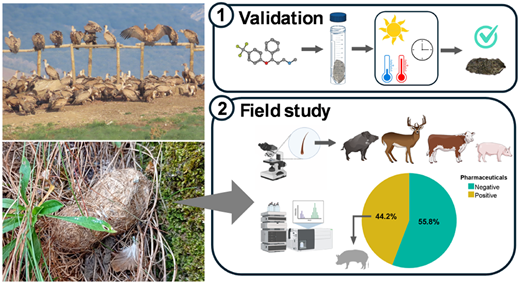 Tracing Veterinary Pharmaceuticals through Regurgitated Pellets: A Noninvasive Monitoring Approach to Assess Exposure in Avian Scavengers