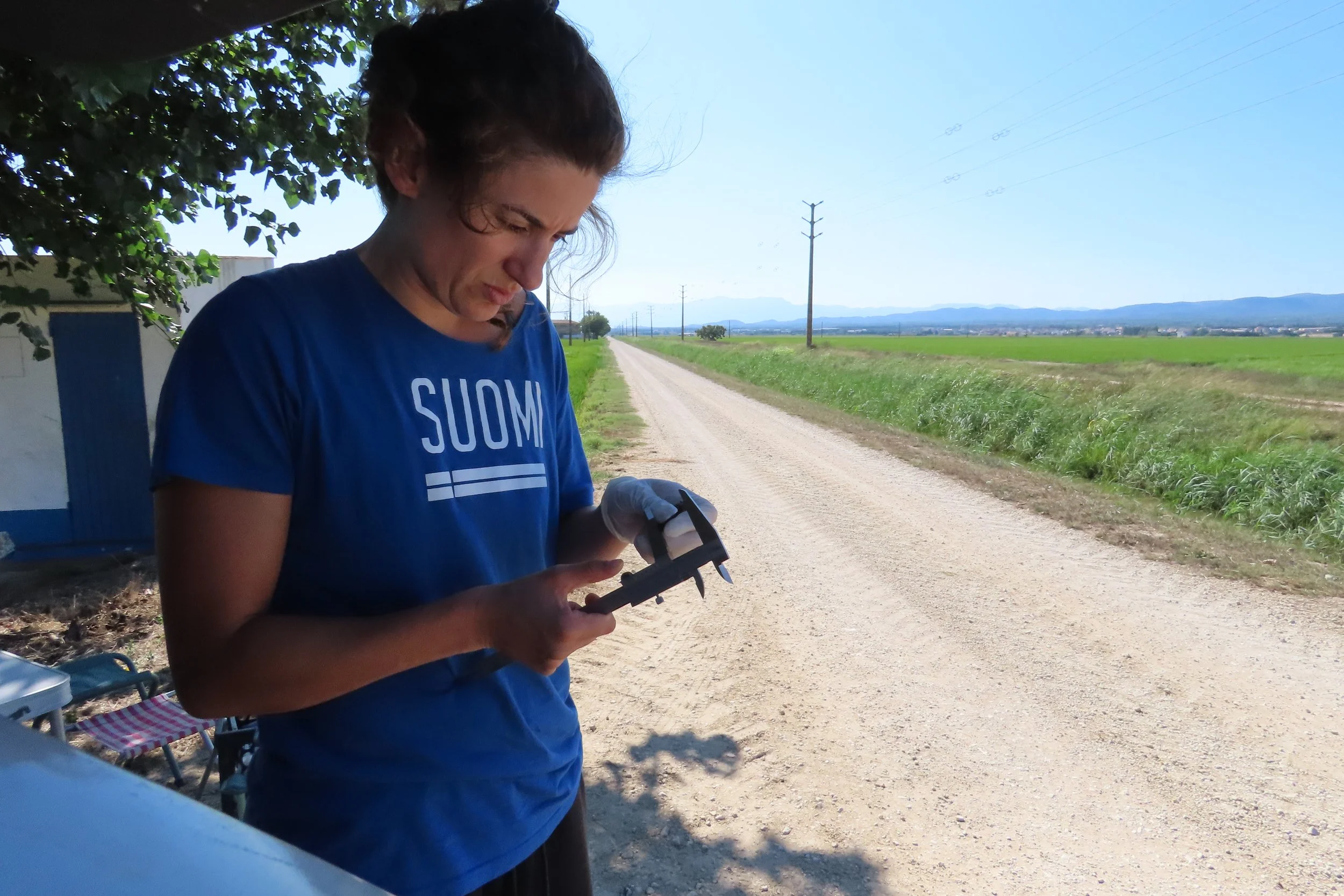 Ecosystem Sentinels: What Bats Tell Us About Pesticides in the Ebro Delta