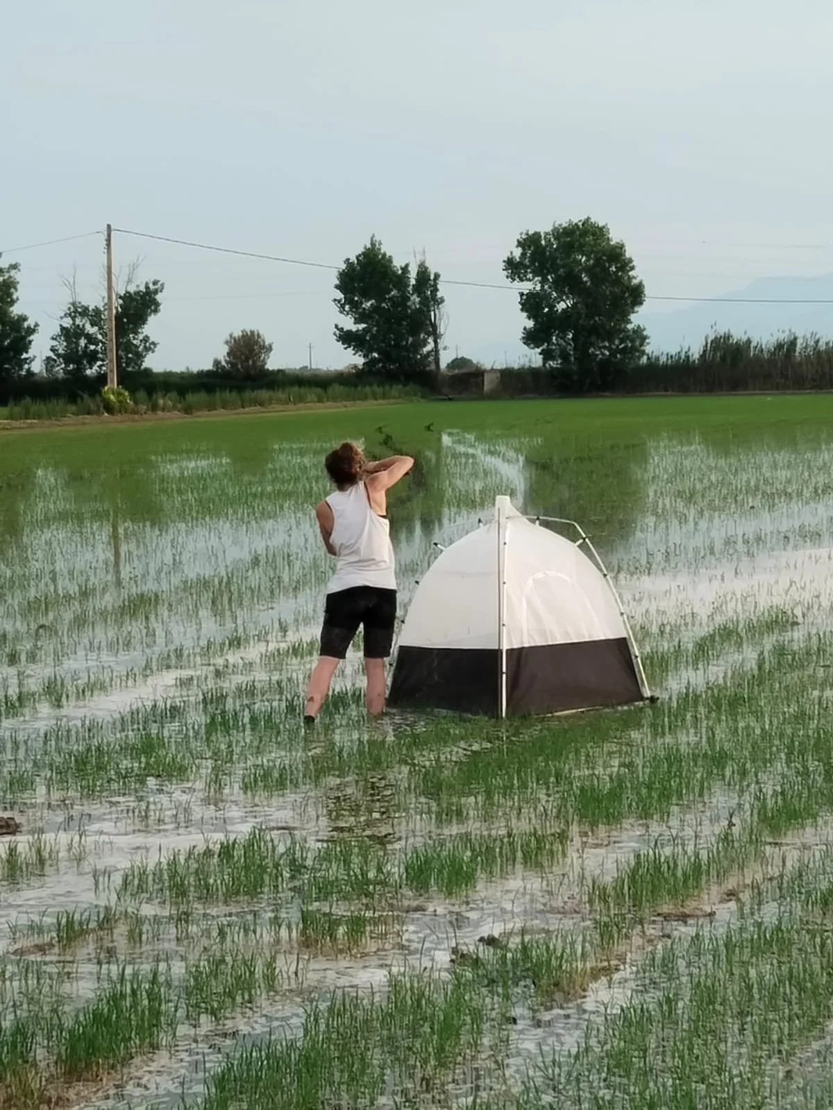 WhatsApp Image 2025-09-15 at 16.21.18.jpeg