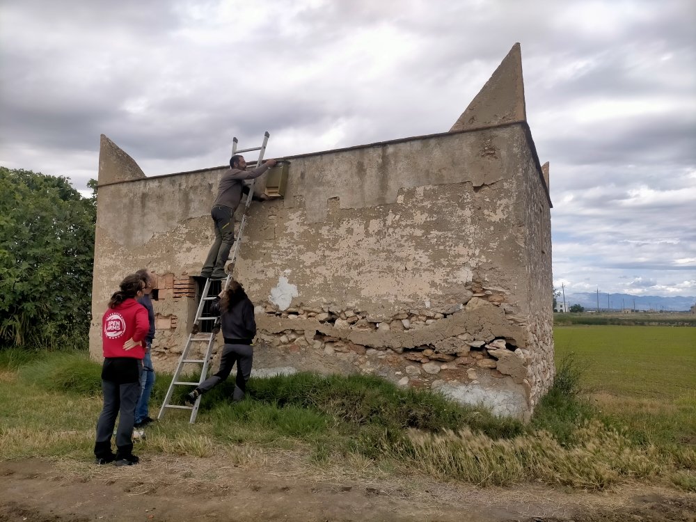 Bat box installation