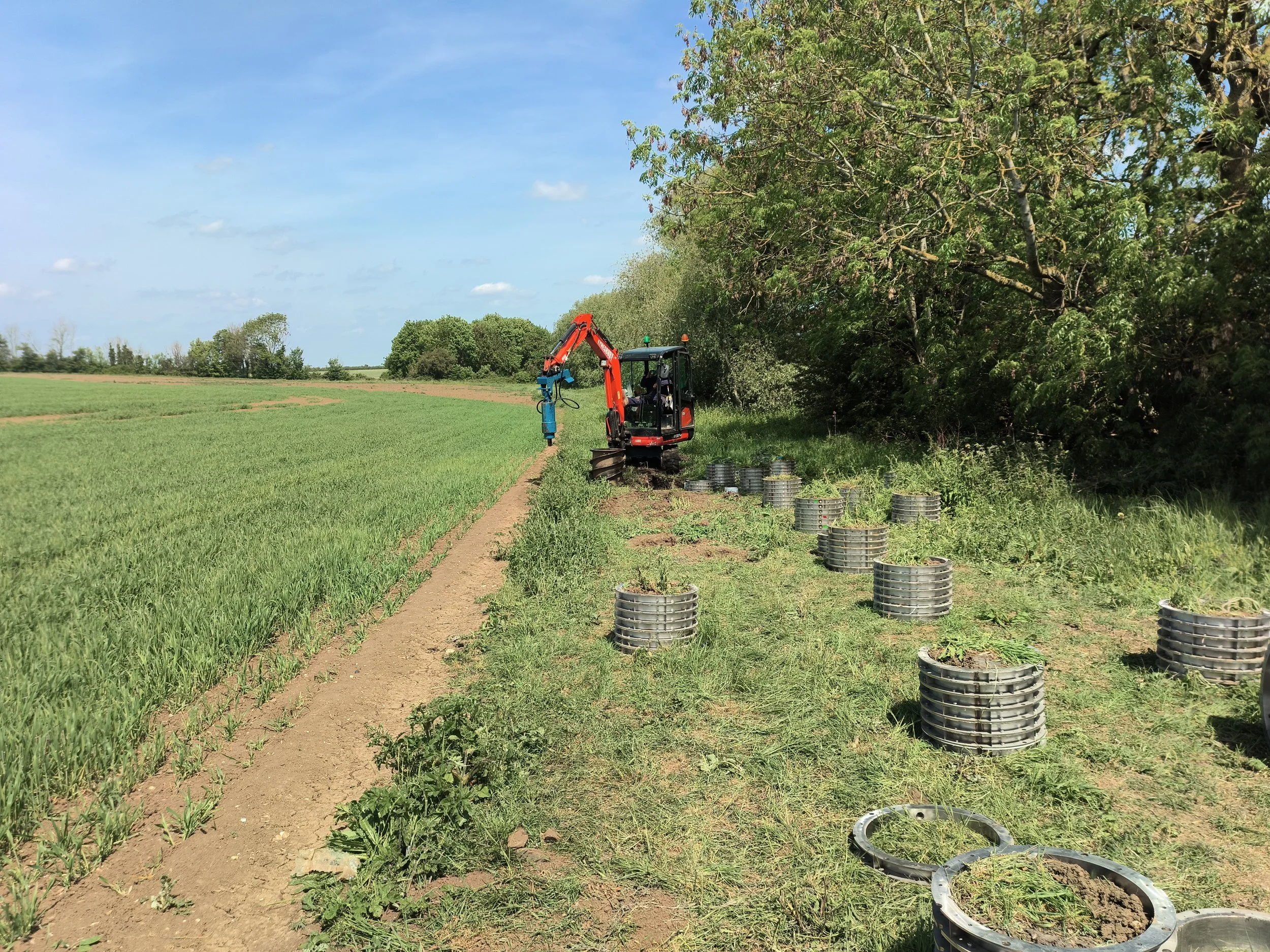 A small orange and black excavator digging along a dirt path next to a row of green trees in a field on a sunny day.