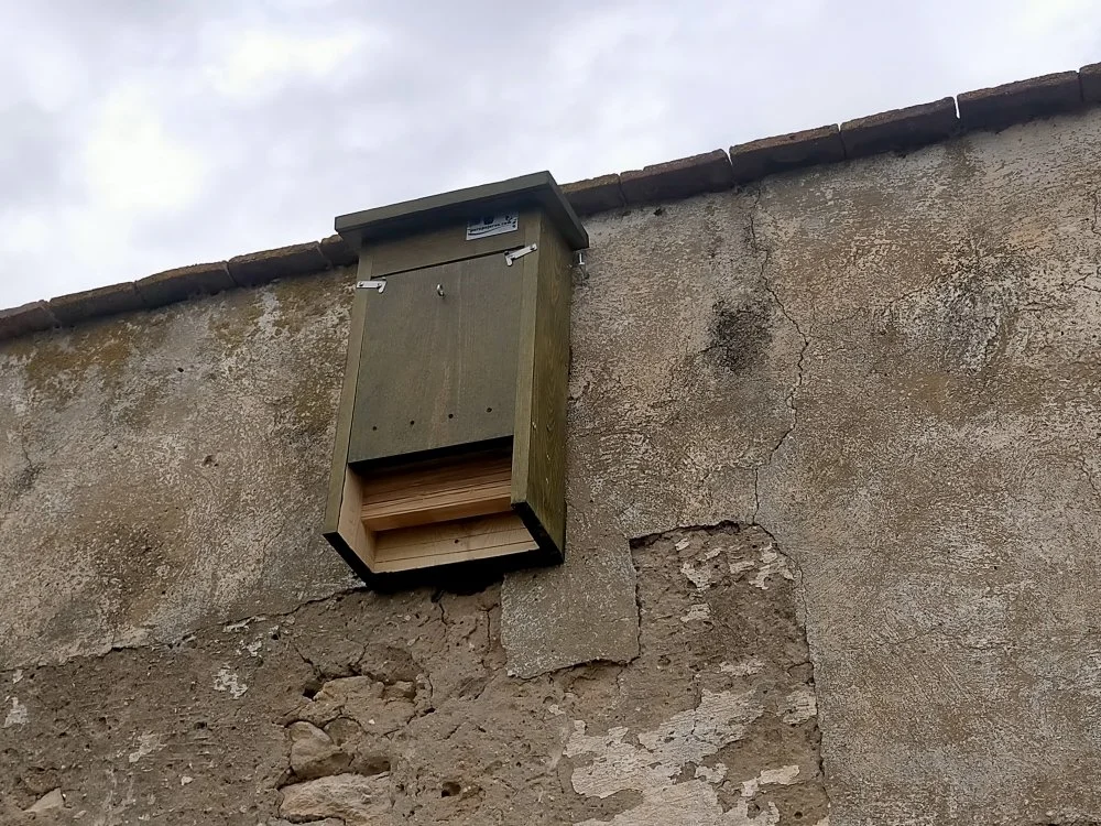 Installed bat box