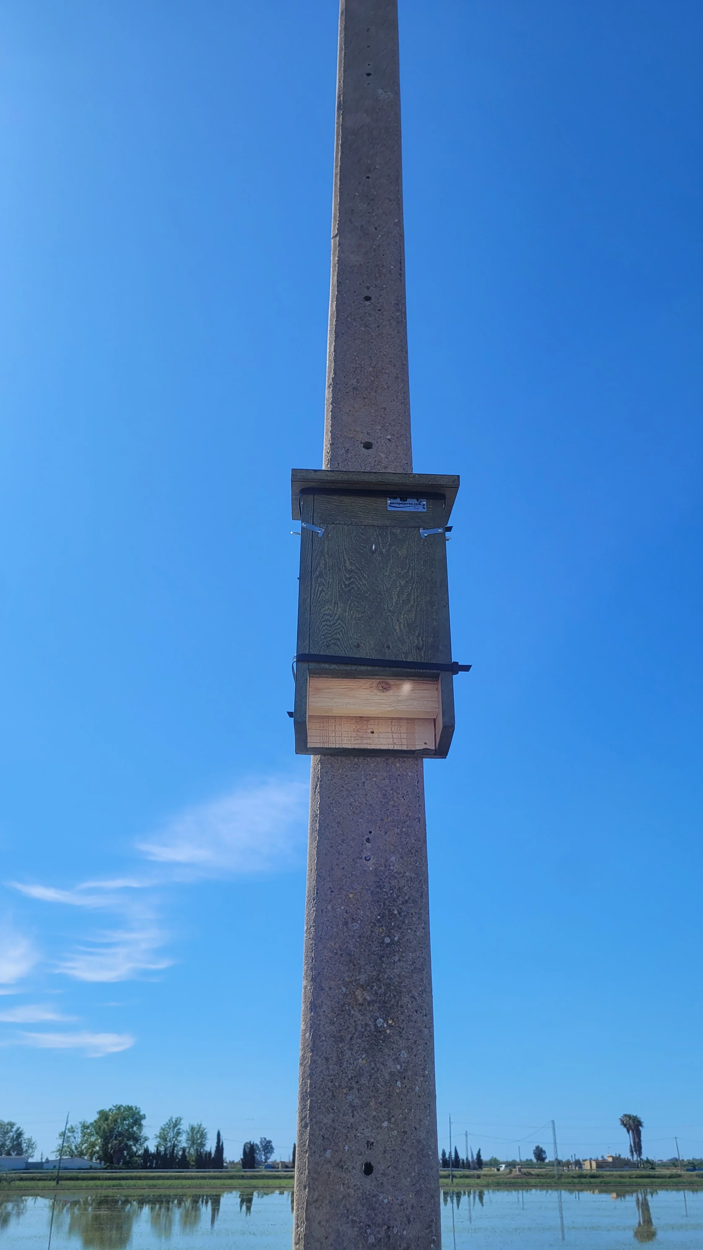 Installed bat box