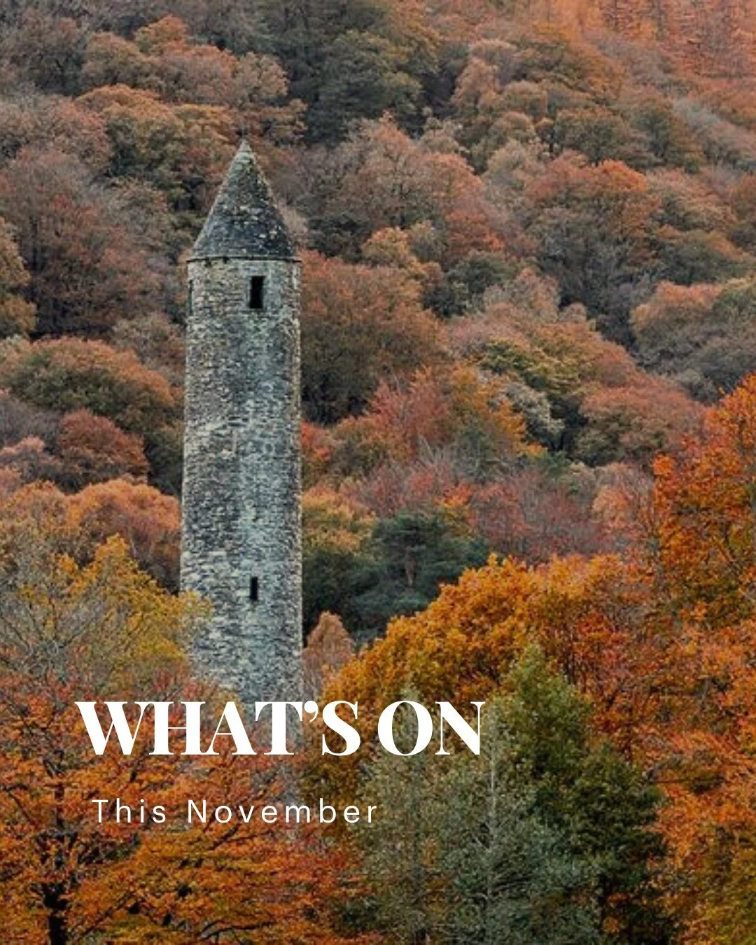 What&rsquo;s On This November 🎄
The festive season starts here! ✨ Join us as we kick off our Christmas programme with a month full of creativity, heritage, and holiday cheer.

From hands-on workshops to local makers and magical moments &mdash; it&rs
