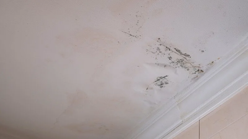 Ceiling with mold caused by a water leak
