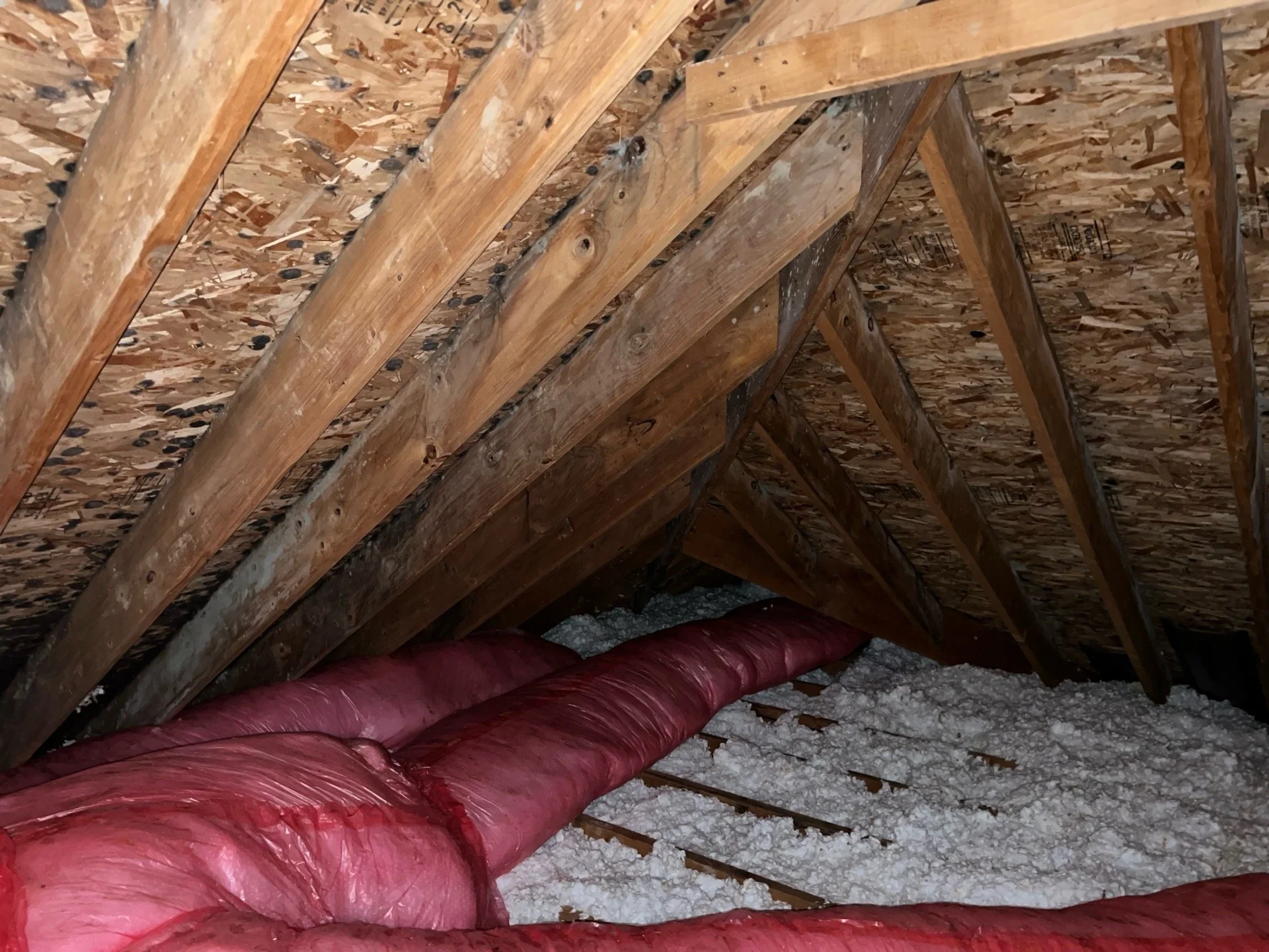 Attic space showing wood trusses, OSB roof sheathing, insulation, and red flexible ductwork with mold from poor ventilation.