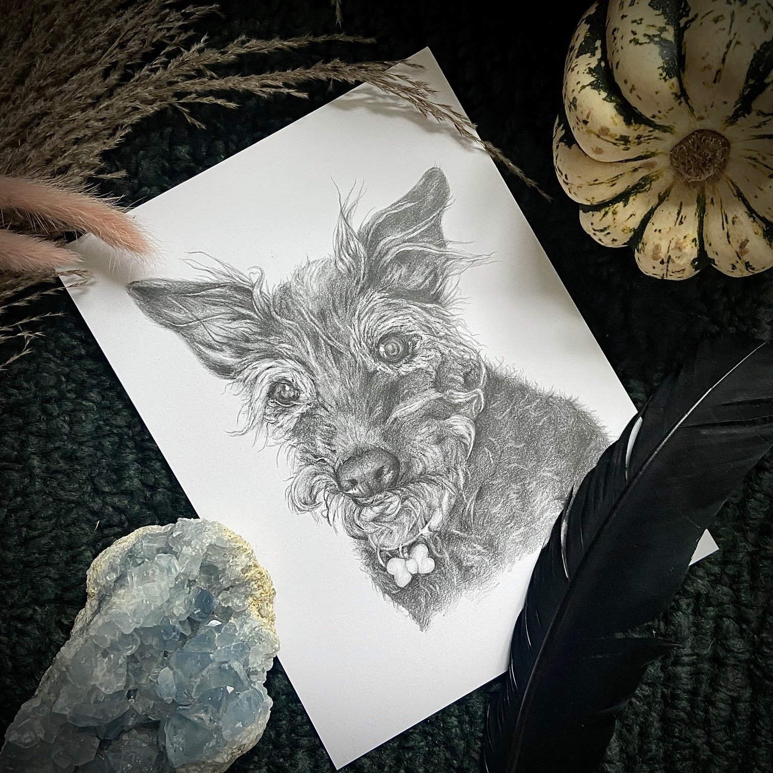 PetPortraits_TheFoxAndRose.jpg