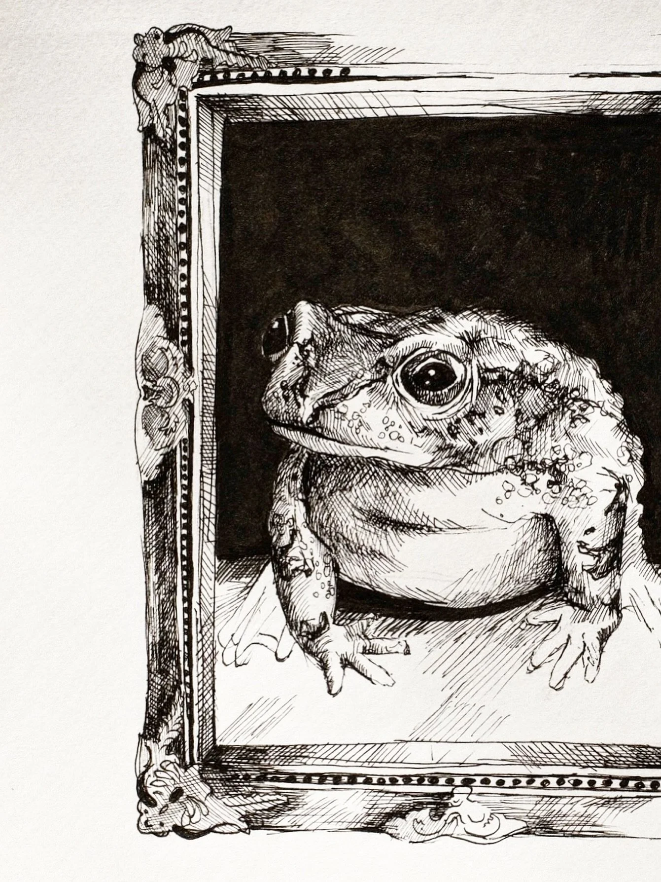 I realized I never shared this one, and he deserves to be here! Would love to implement mr frog on a label one day 😏

#ink #inkdrawings #micronpen #tattoo #artist #artoftheday #sketch #sketching #frogdrawings #frogdrawing