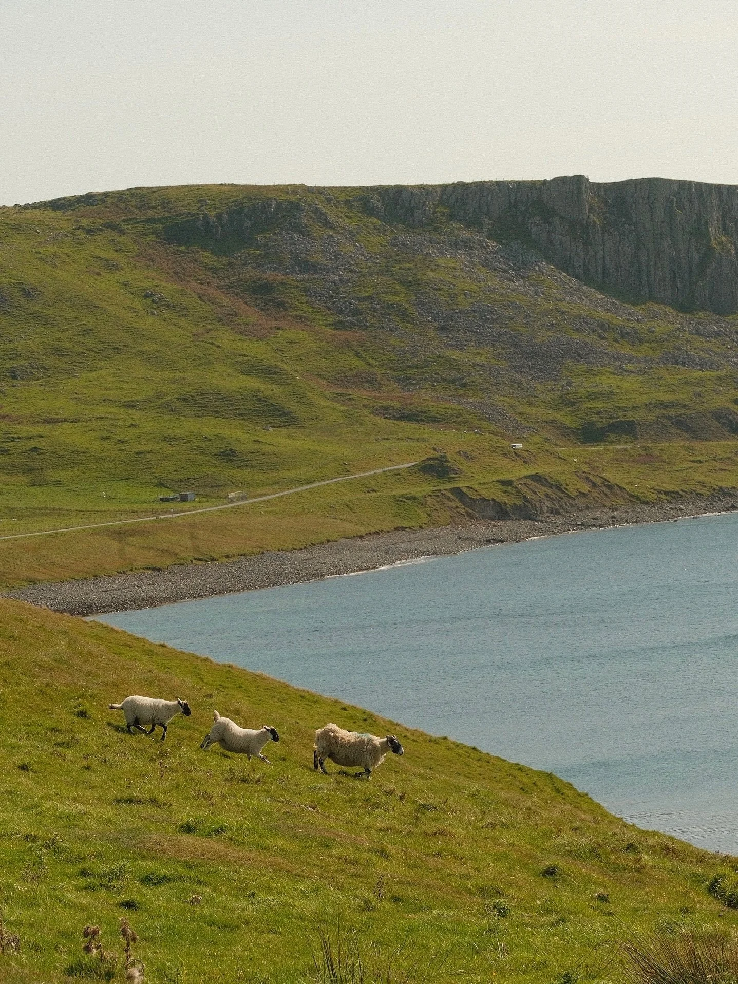 Already know this place will need more than one post, so might as well start now 🐑 

📸 @fujifilmx_us 
👨🏻&zwj;🍳 @fujixweekly

#fujifilm #fujifilmxseries #myfujifilm #isleofskye #scotlandphotography #visitscotland #visualdiary #designmeetsart #bra