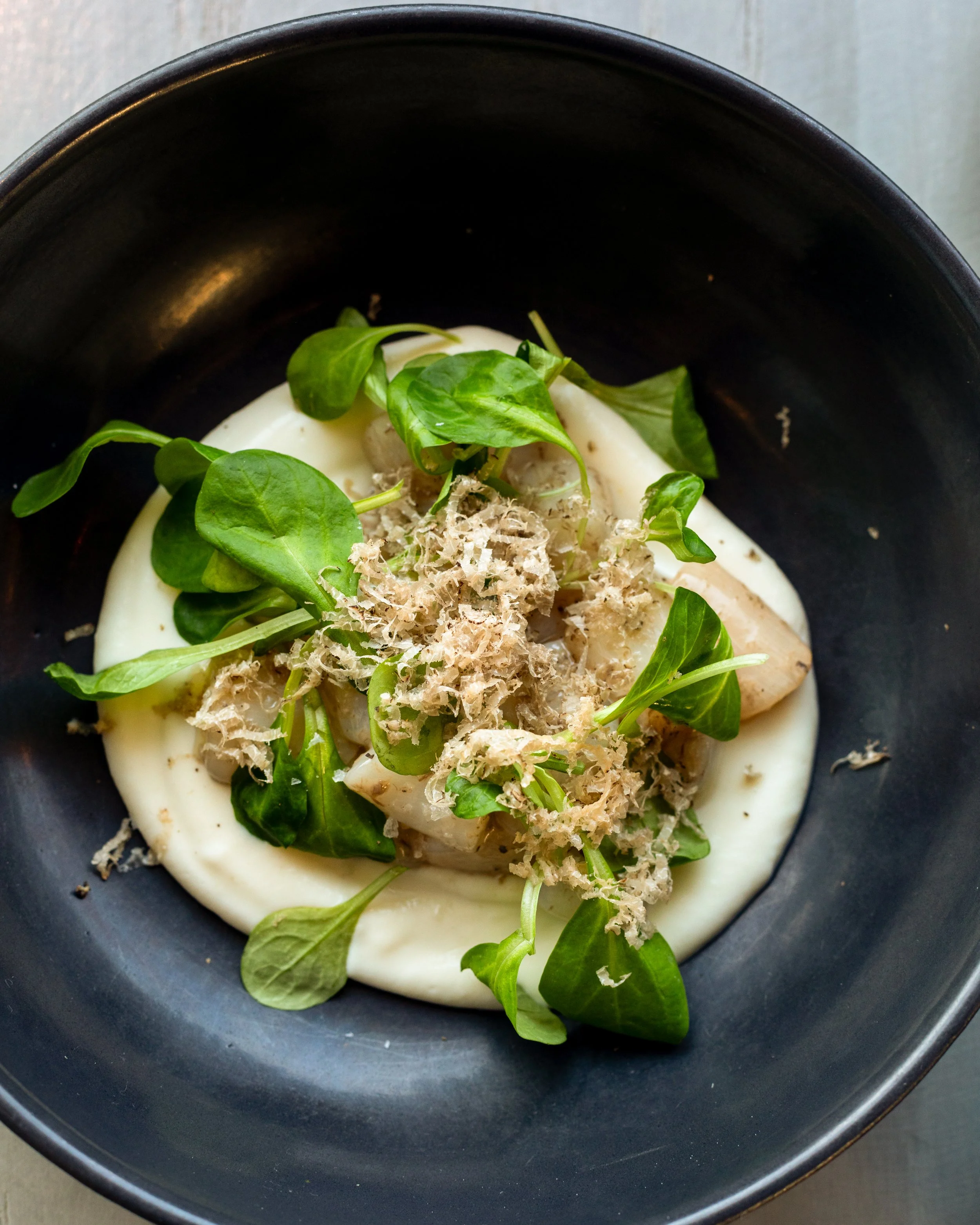 Scallops-2.jpg