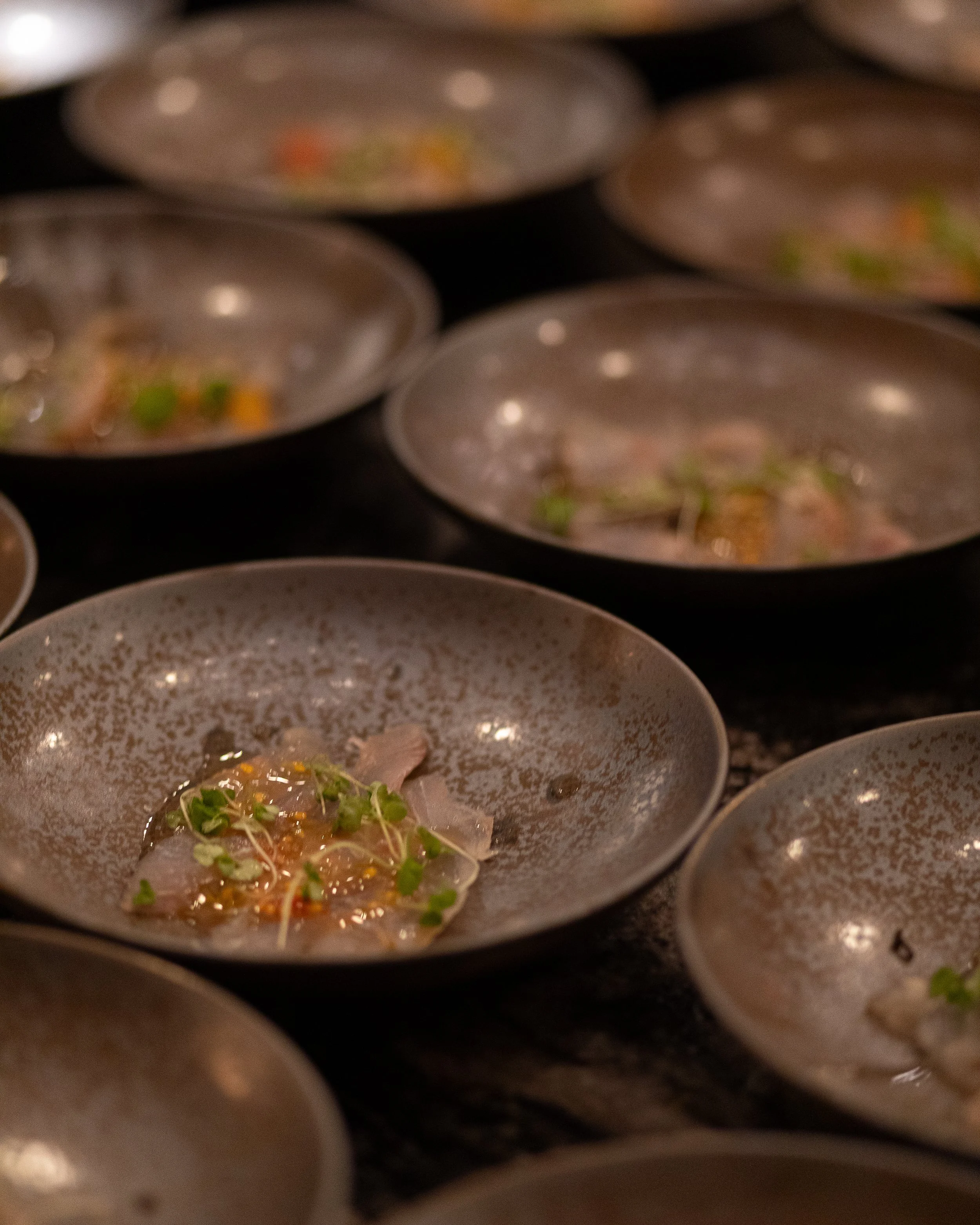 BANA_July 2024-101.jpg