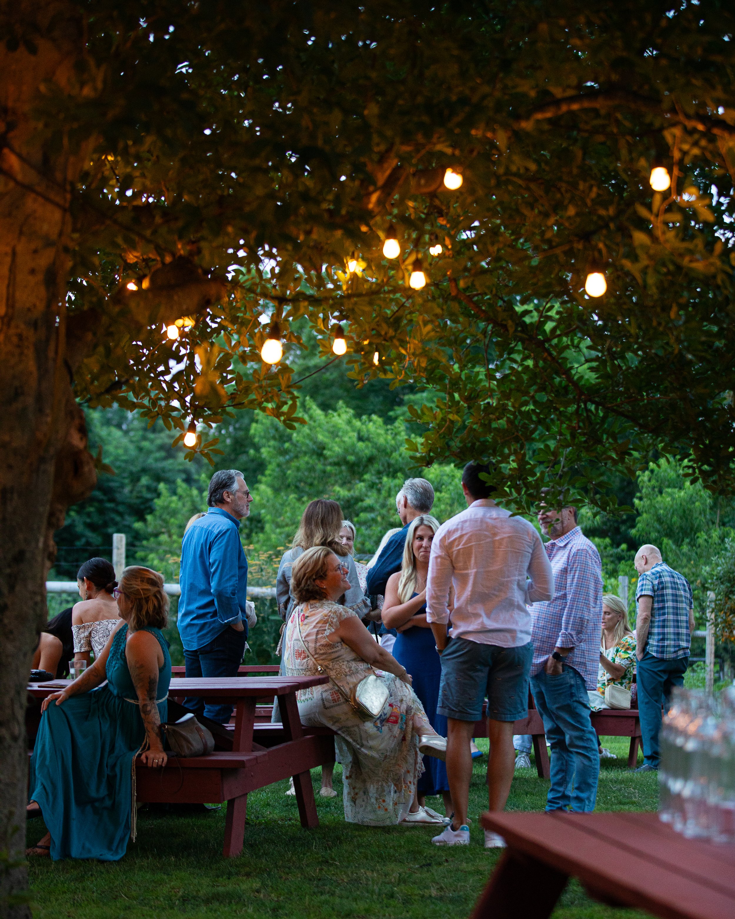 BANA_July 2024-88.jpg