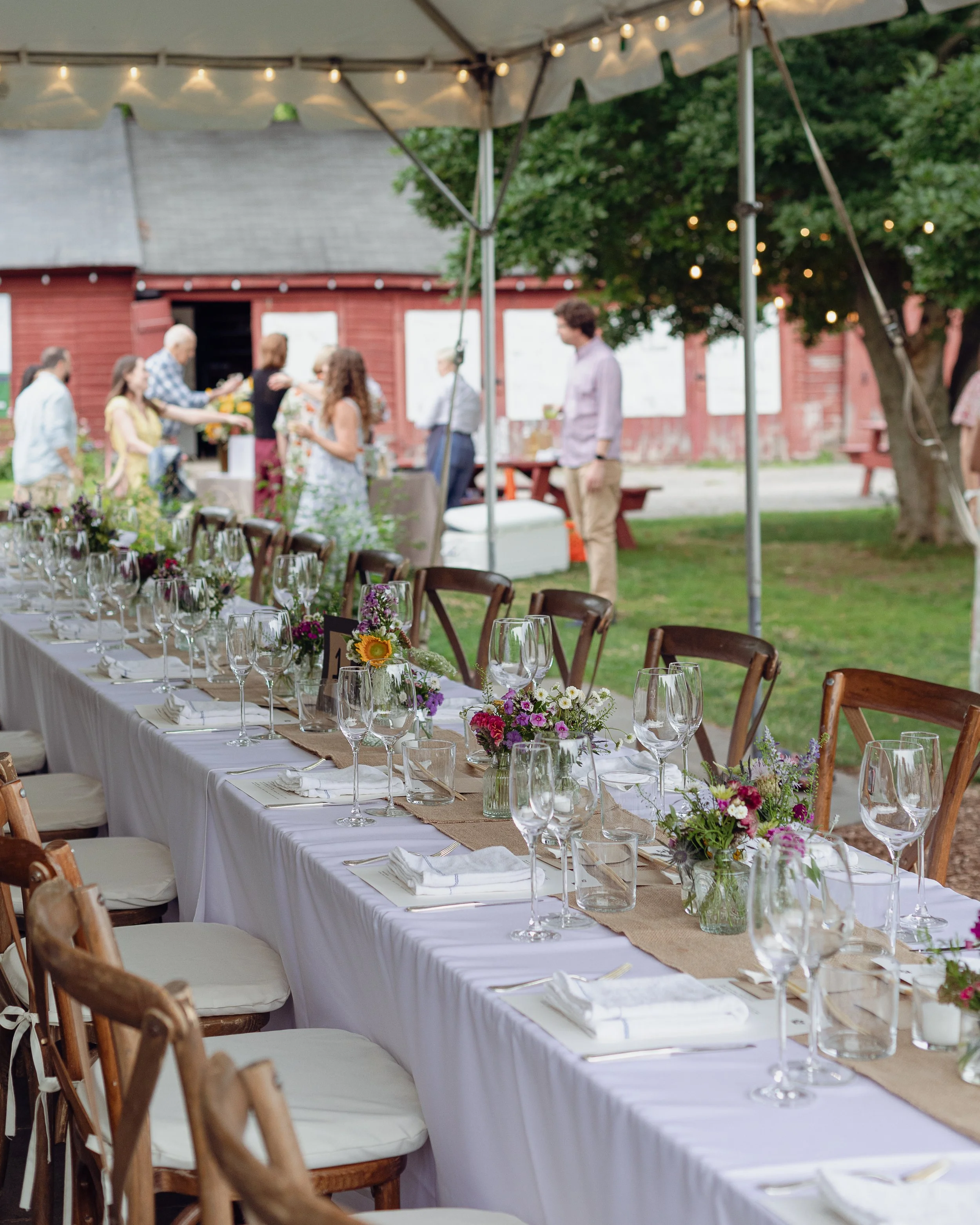 BANA_July 2024-1.jpg