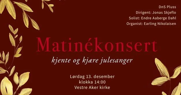 Julekonsert med DnS Pluss