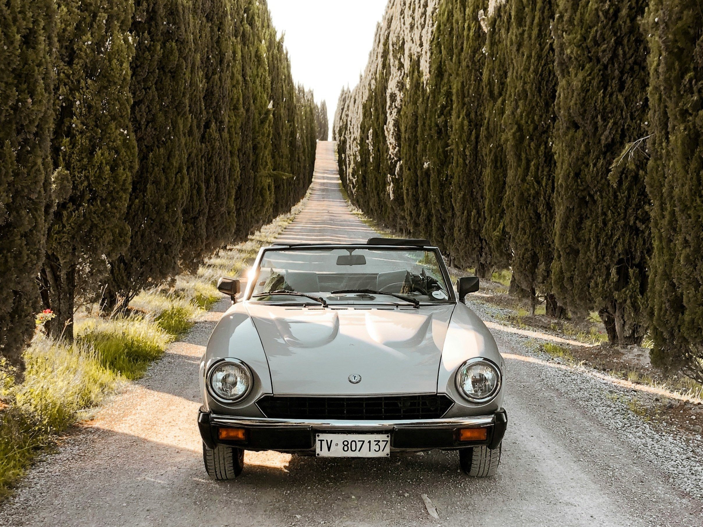 An Italian Odyssey