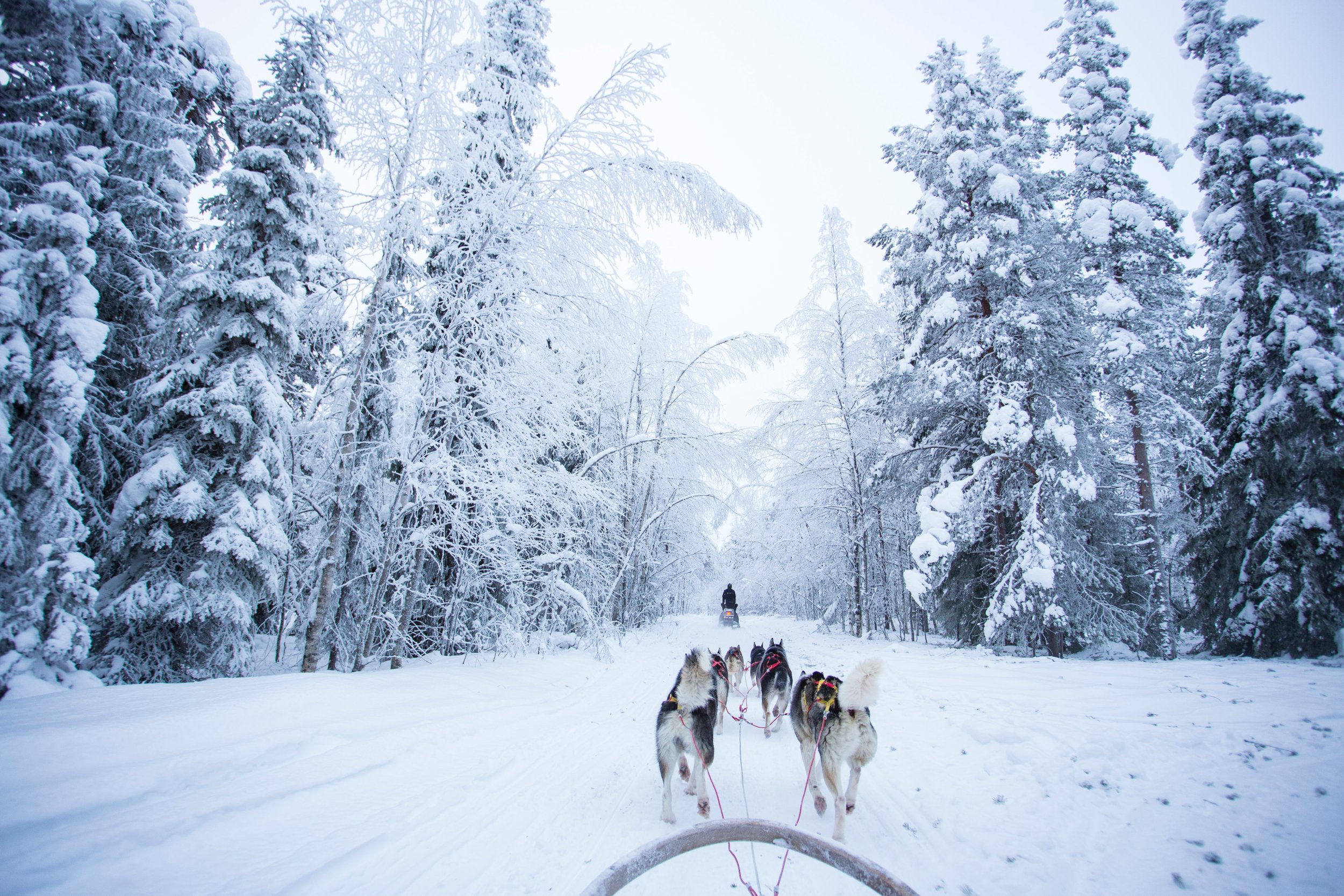 The happiest country in the world