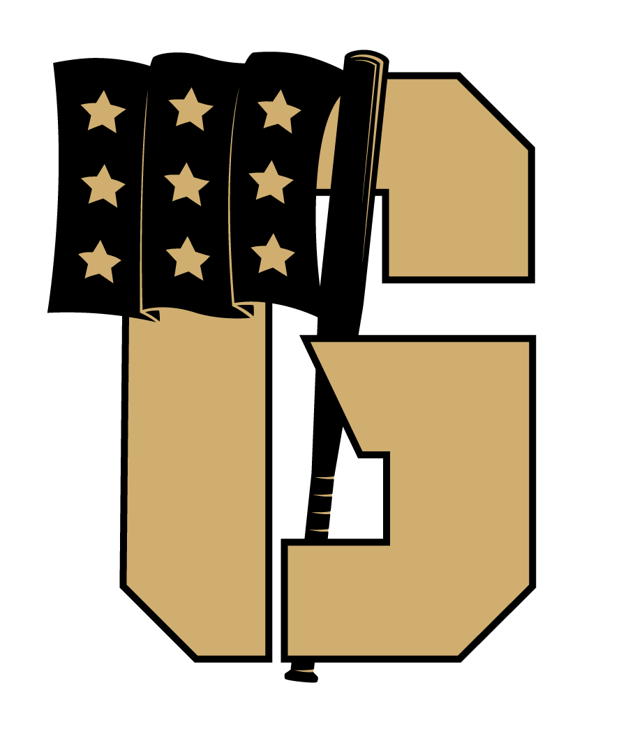 PDG Academy - G + Flag Logo