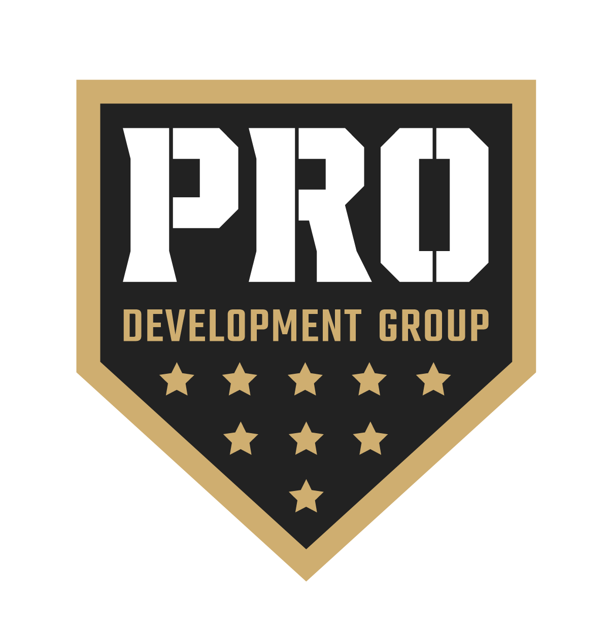 PRO Development Group Logo