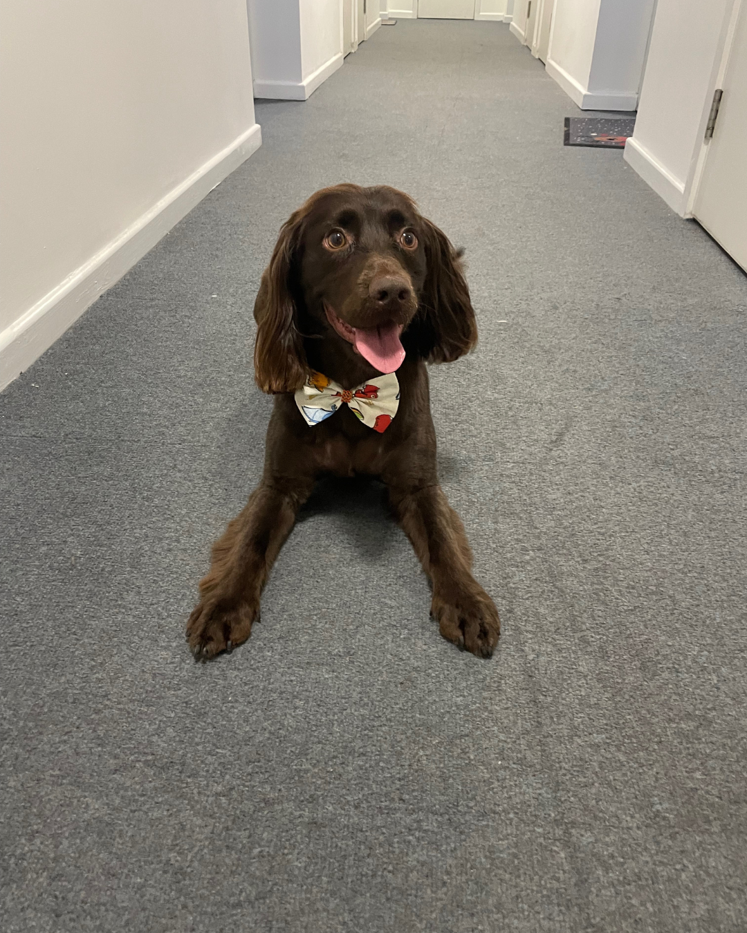 Untitled design (20).png