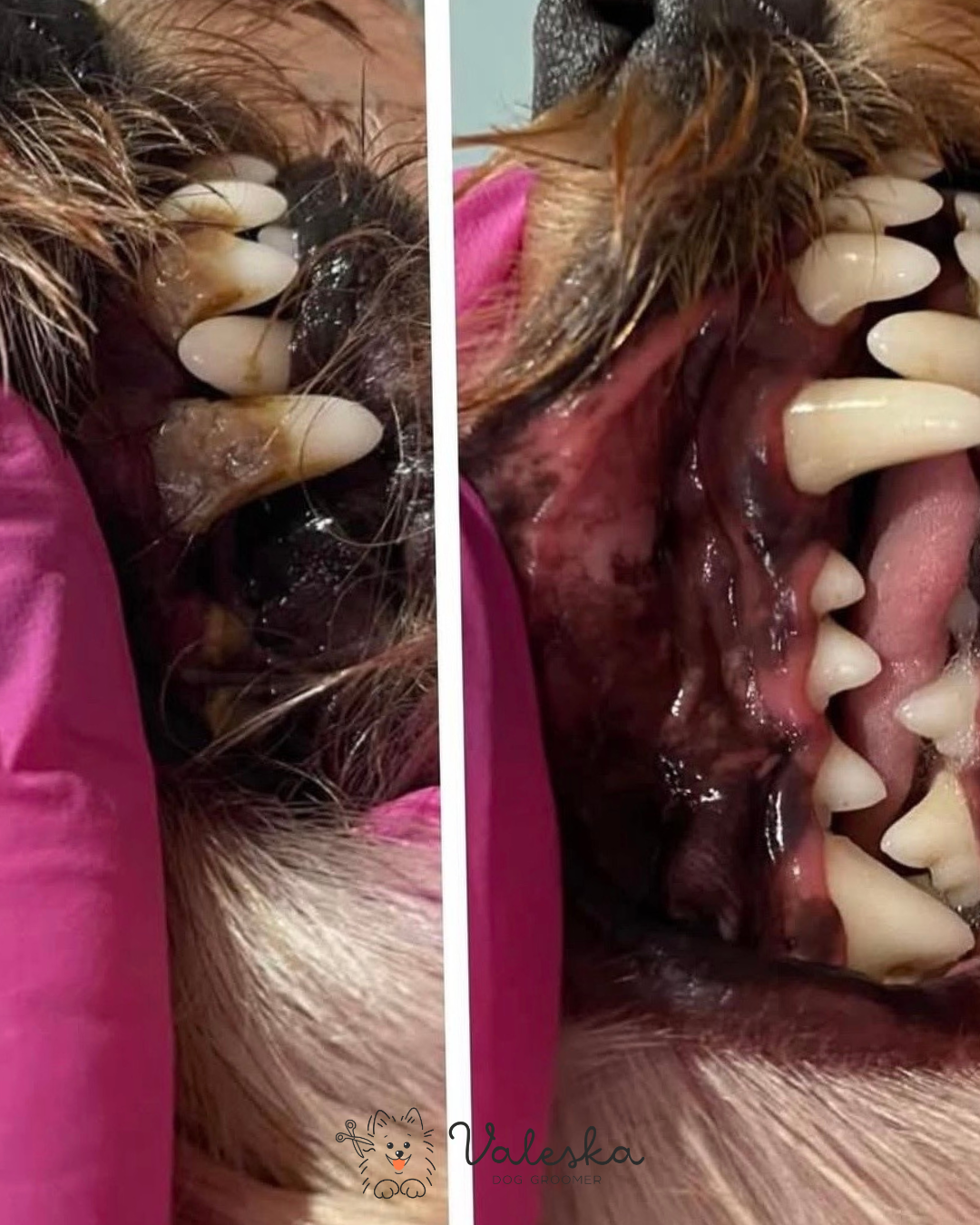 Untitled design (13).png