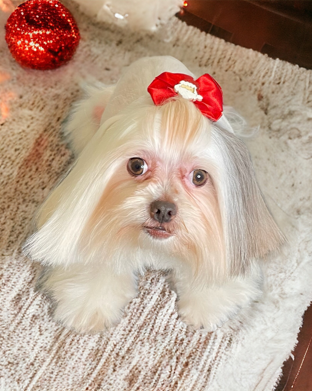 Untitled design (24).png