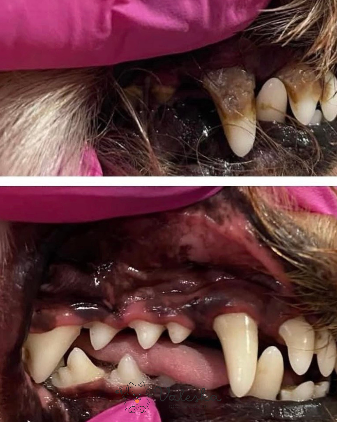 Untitled design (12).png