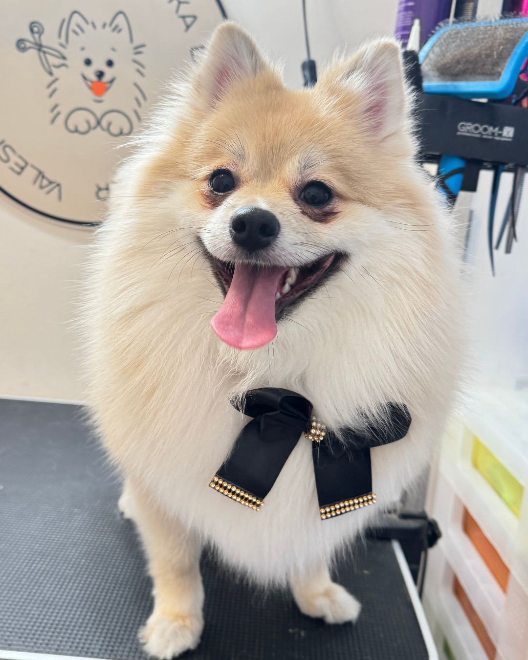 Untitled design (2).png