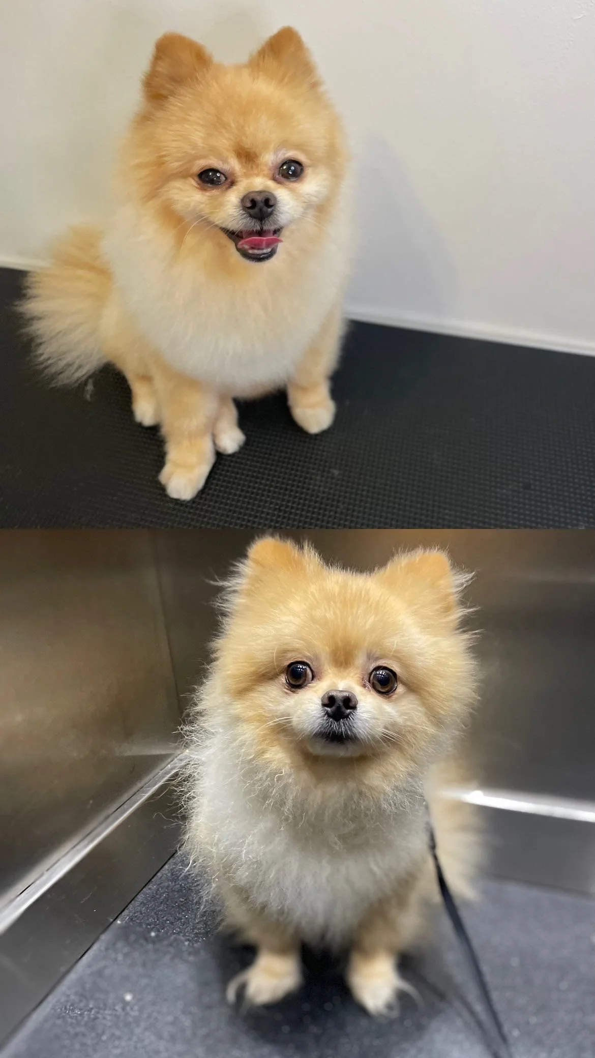 29572A8A-DA51-44DF-BF2E-E4EDBC8BA227 (1).JPG