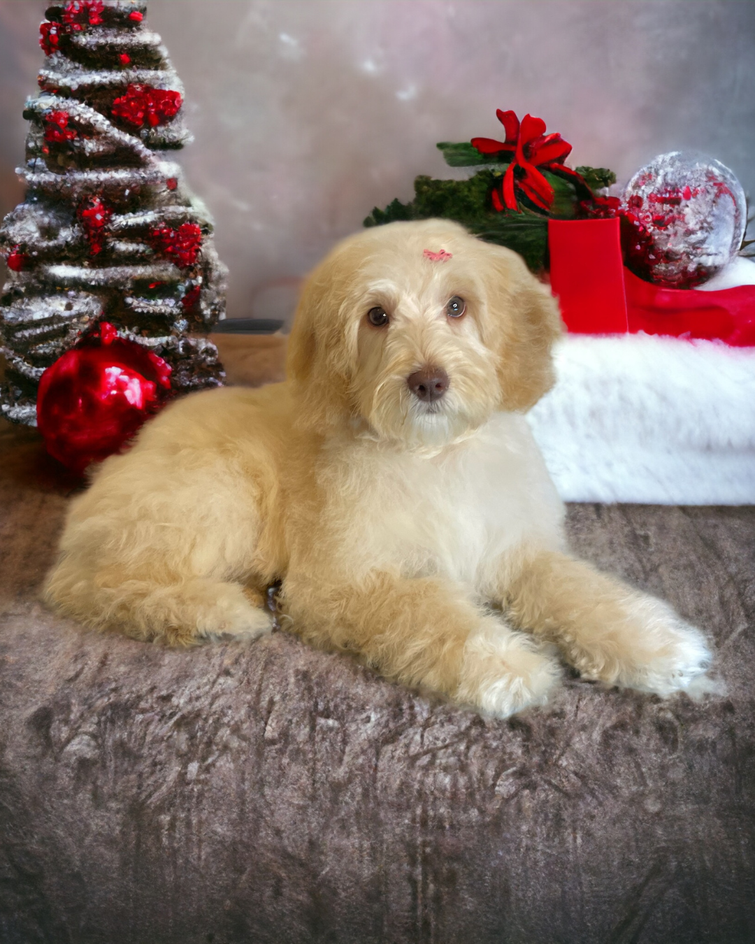 Untitled design (21).png