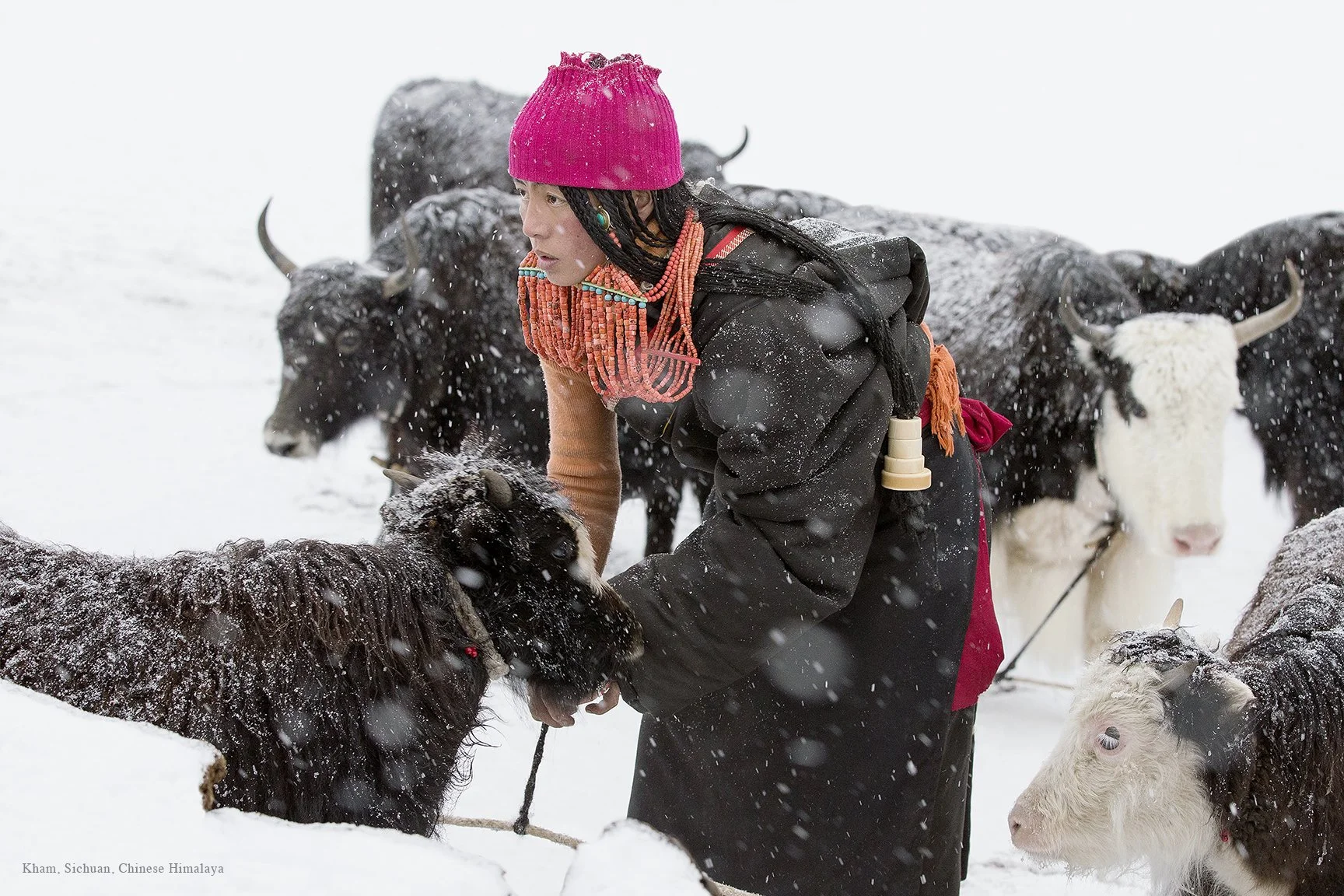 NOMADS.20.jpg