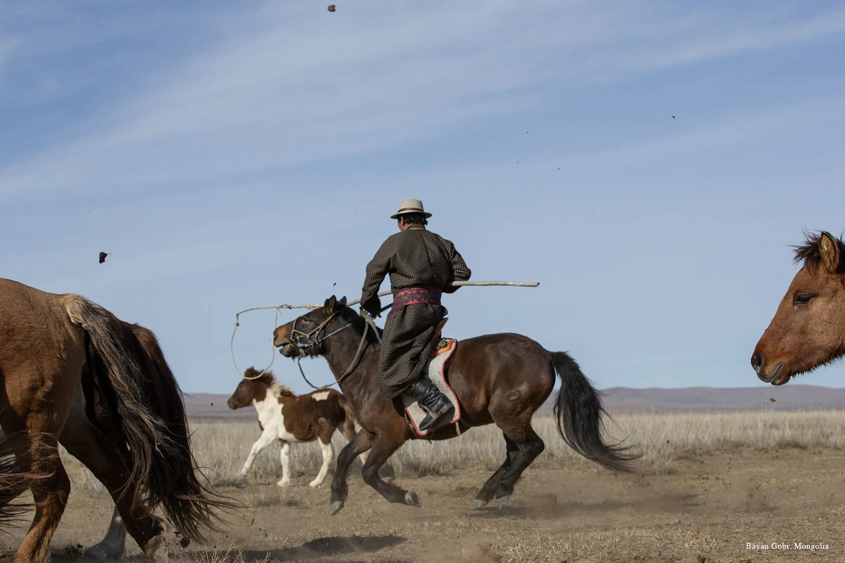 NOMADS.43.jpg