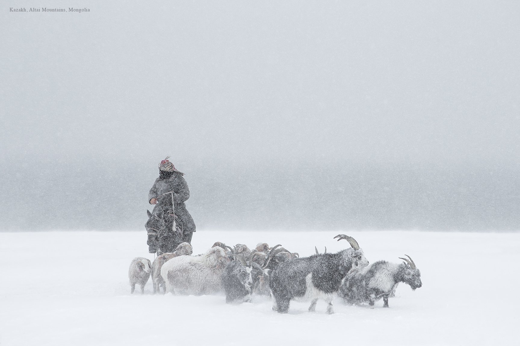 NOMADS.53.jpg