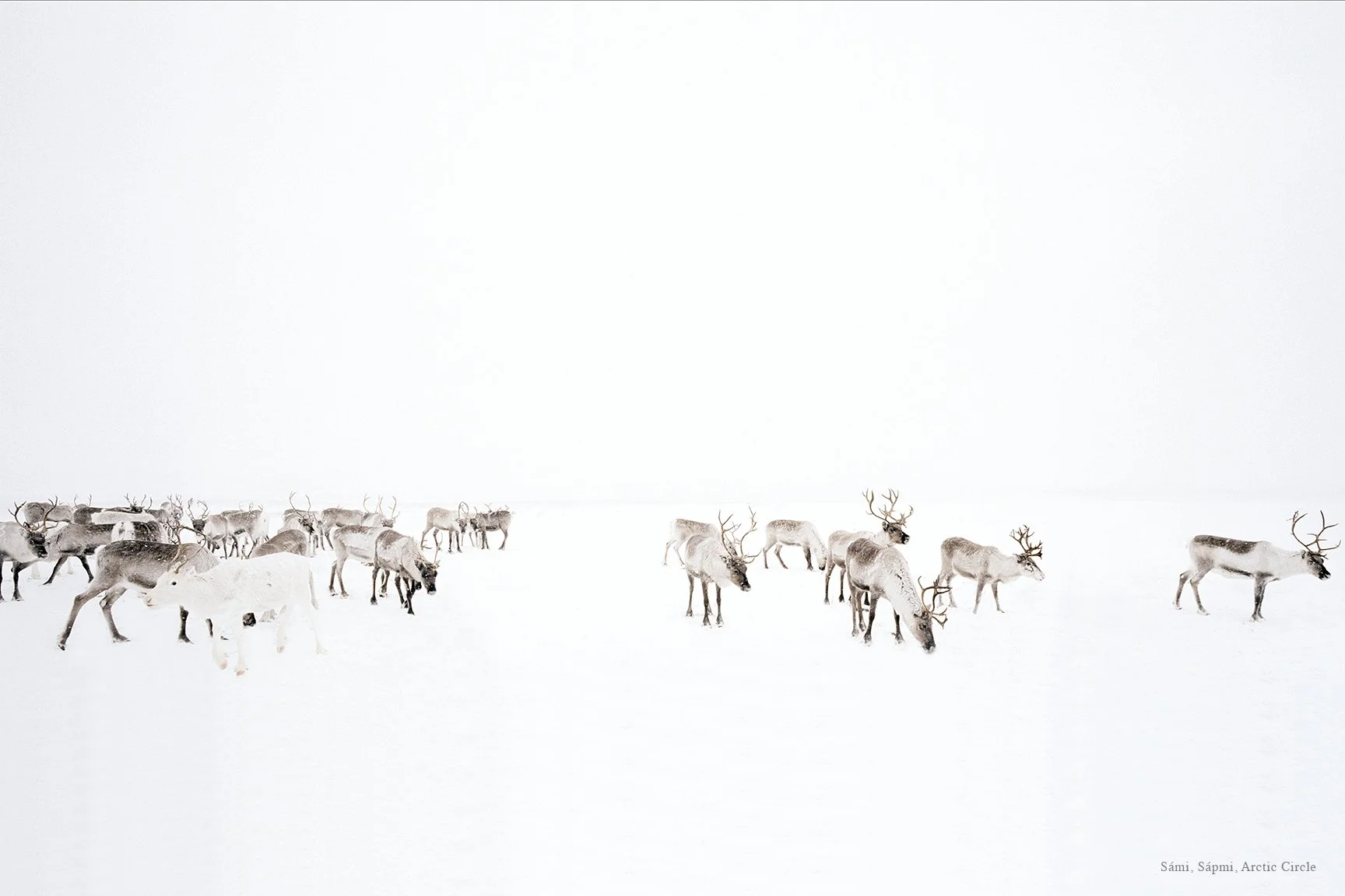 NOMADS.62.jpg