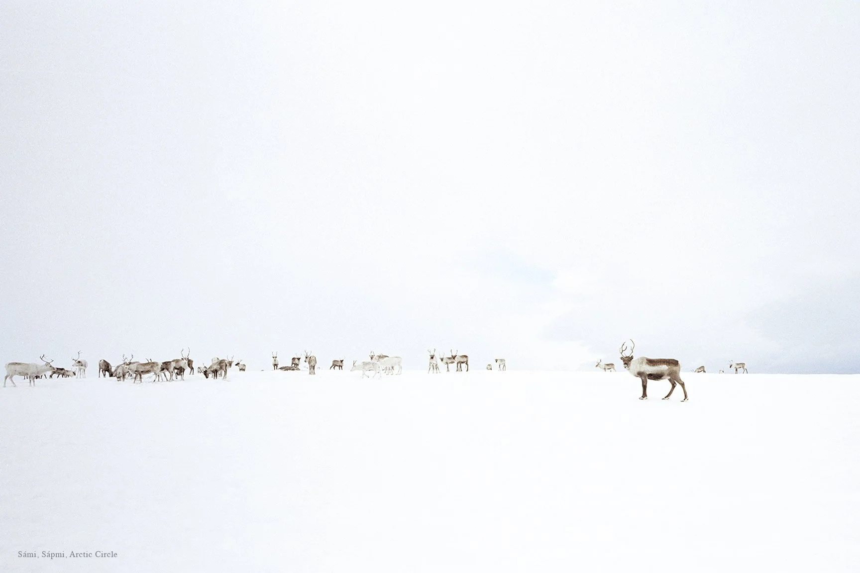 NOMADS.63.jpg
