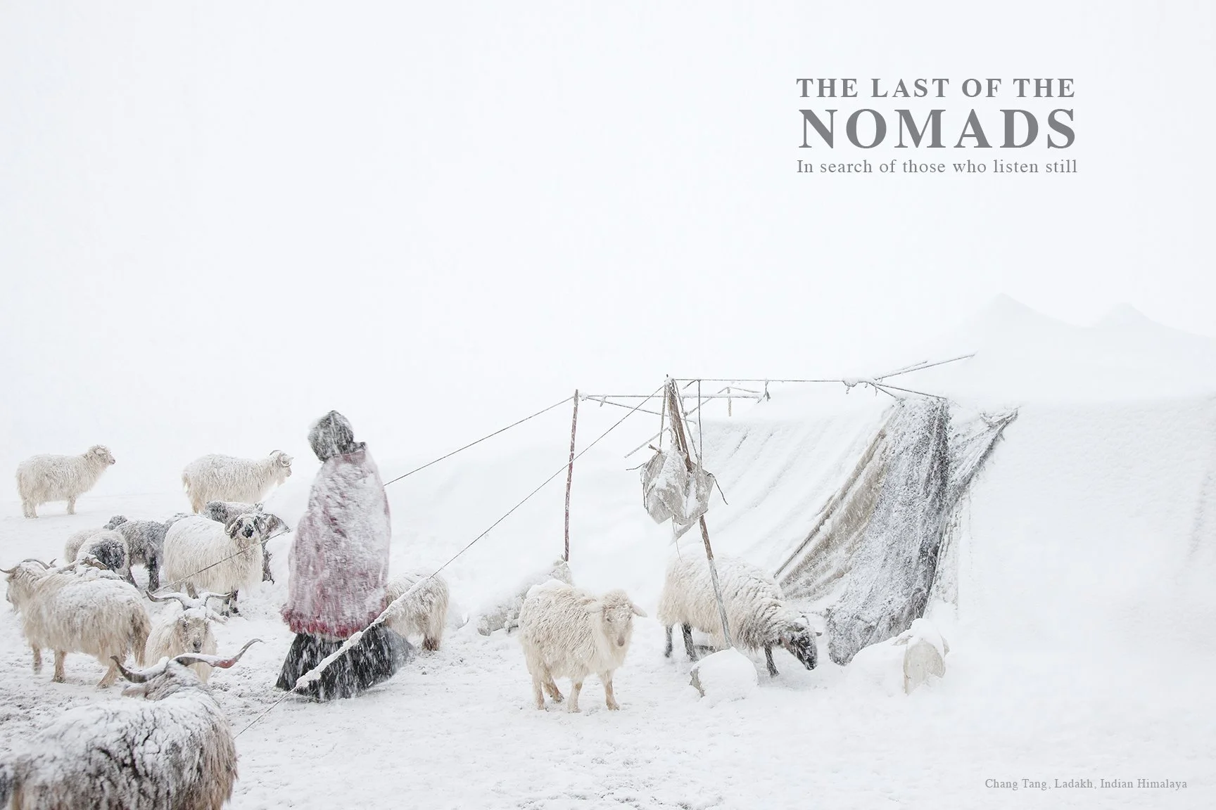 NOMADS.01.jpg