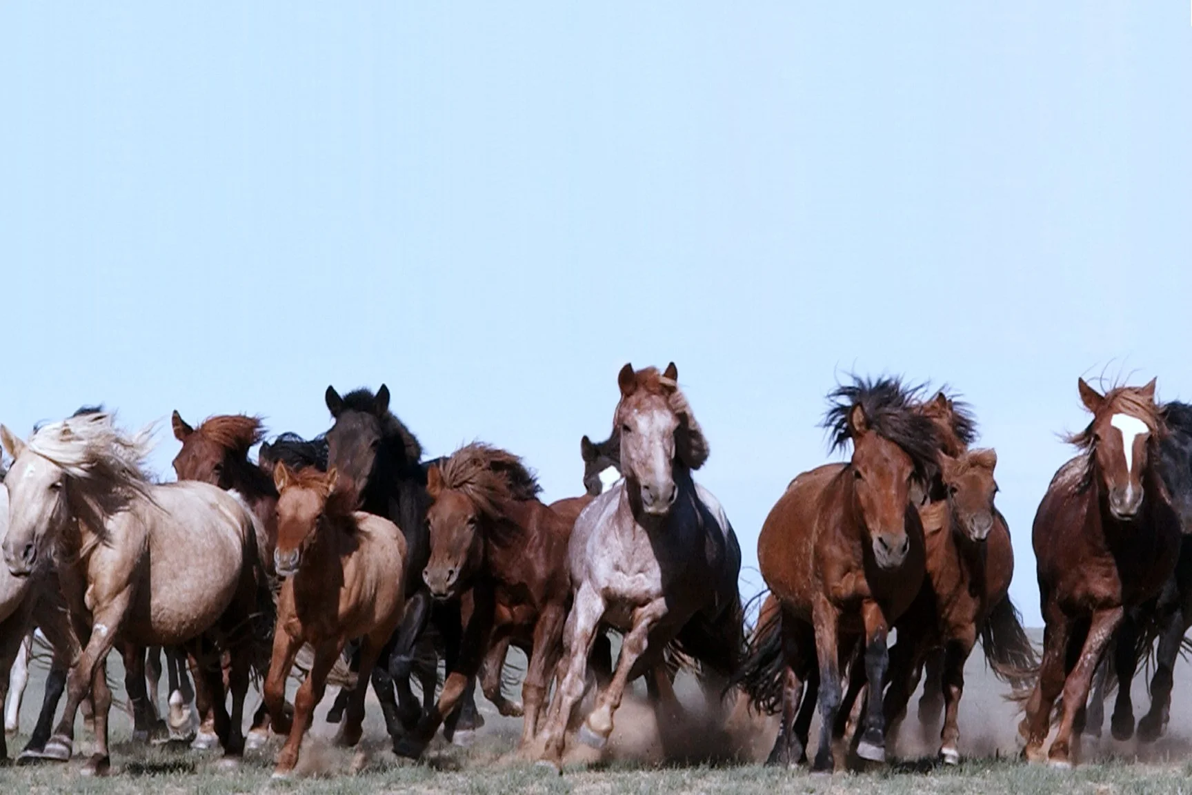 04.MONGOLIA.jpg