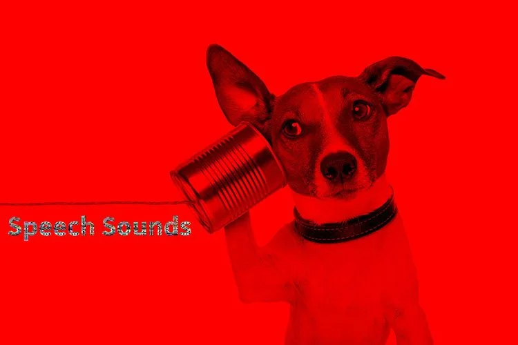 What Are Speech Sound Disorders?