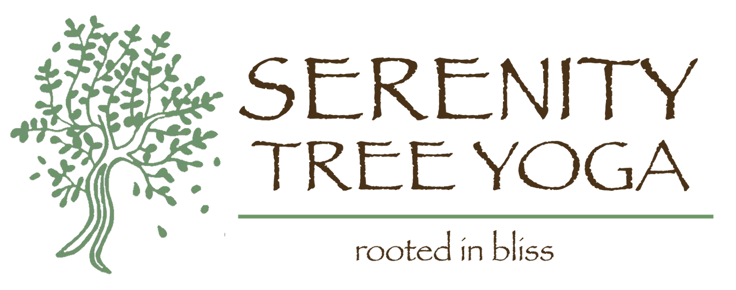 Serenity Tree Yoga