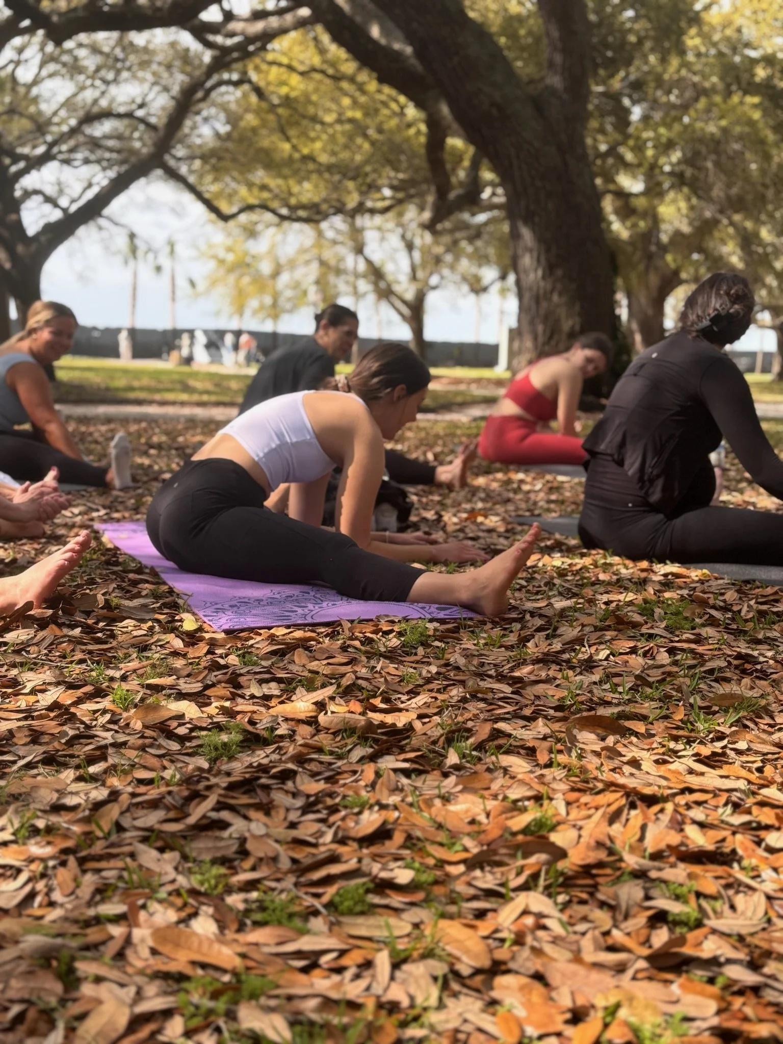 Relaxing outdoor yoga beneath the oaks during a private Charleston bachelorette weekend. 