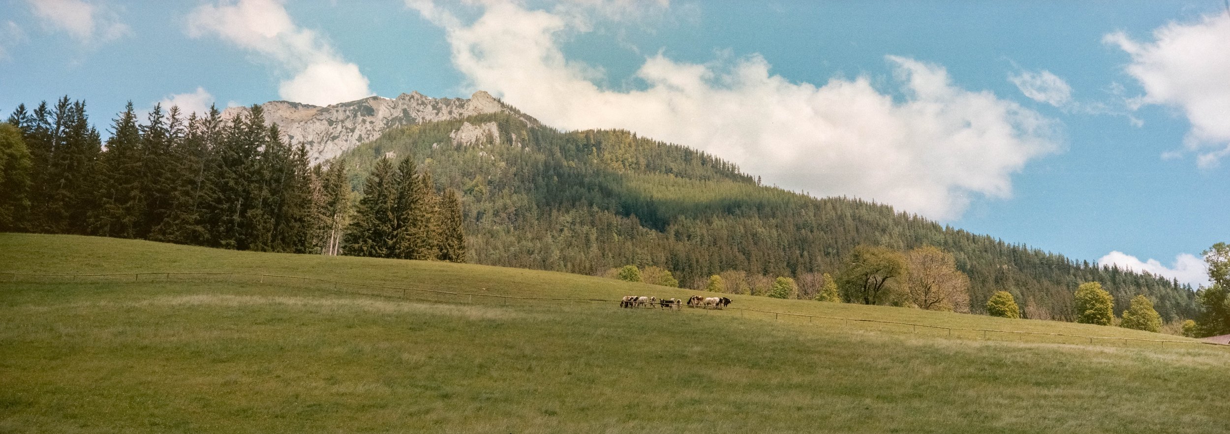 Zalán Tóth - @_tothzalan_