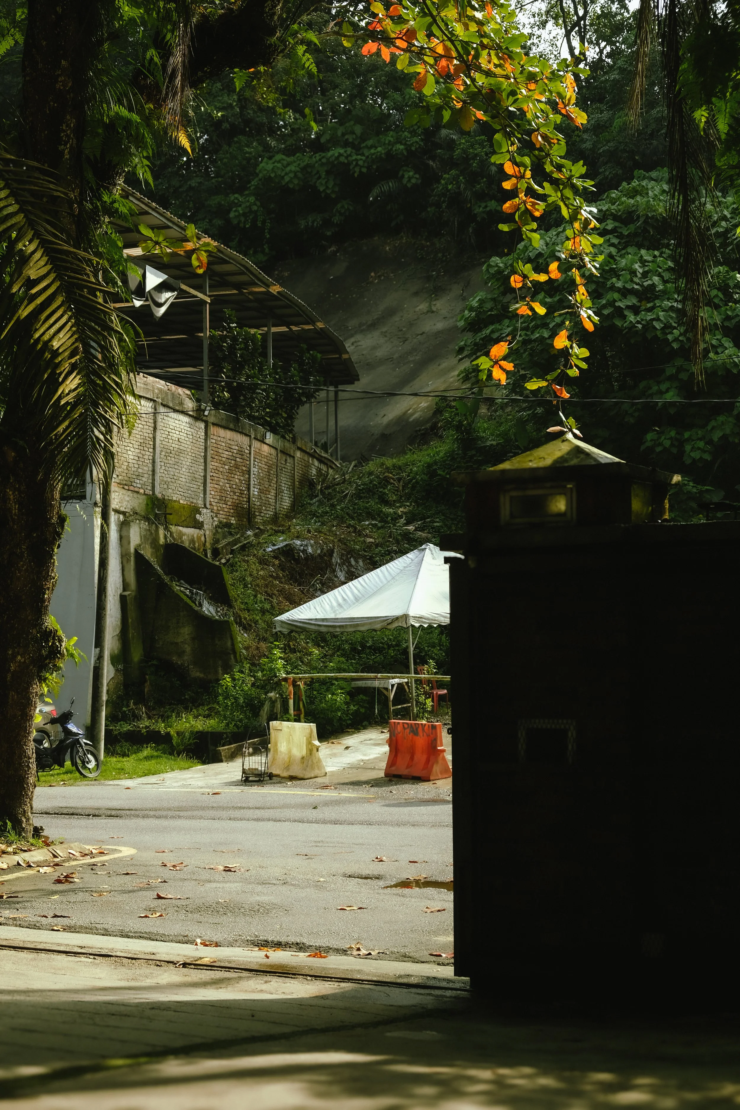 DSCF5735.jpg