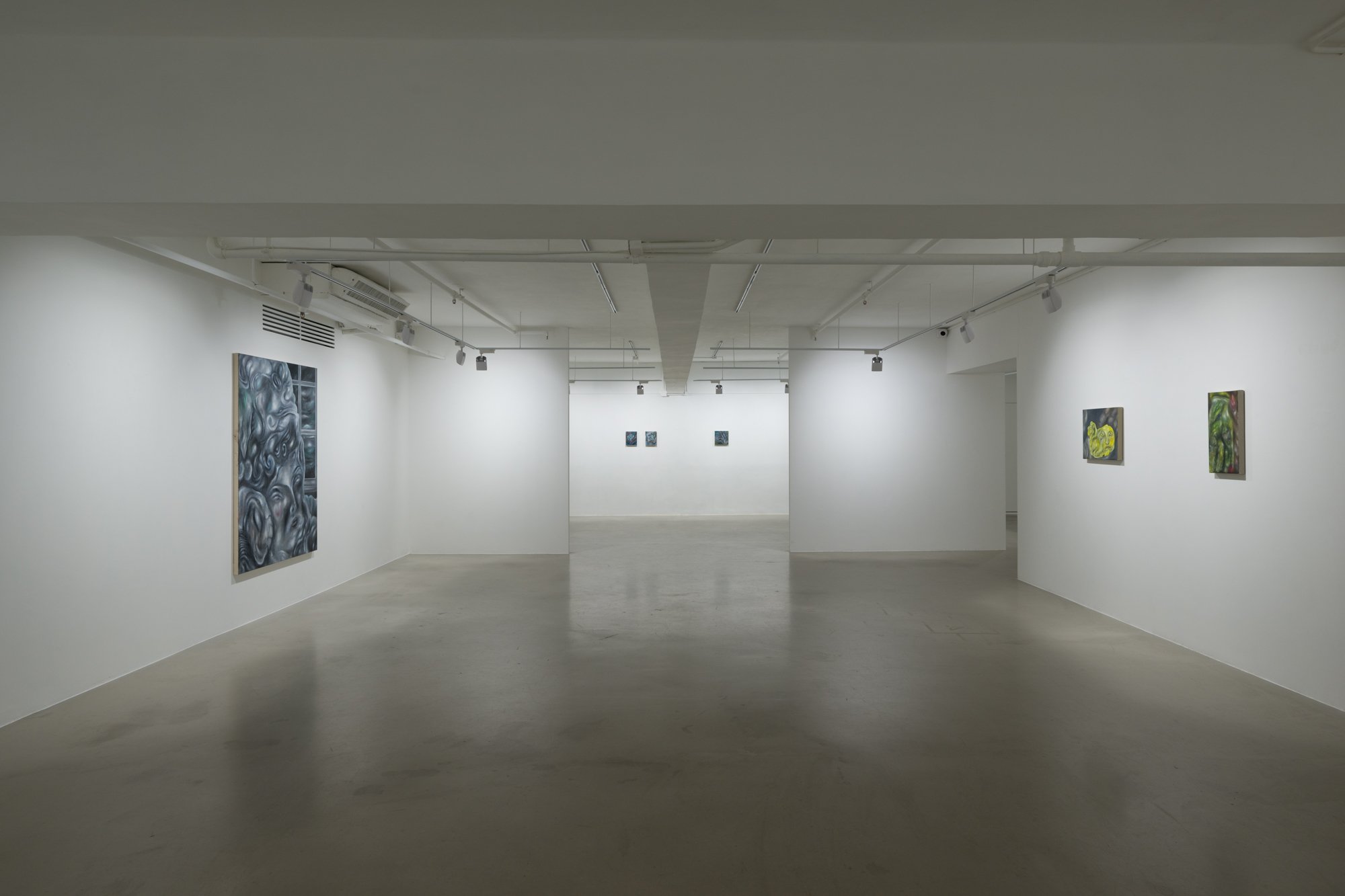 vilte-fuller_installation-view_10.jpg