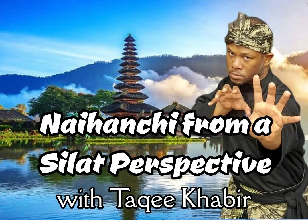 Naihanchi from a Silat Perspective with Taqee Khabir