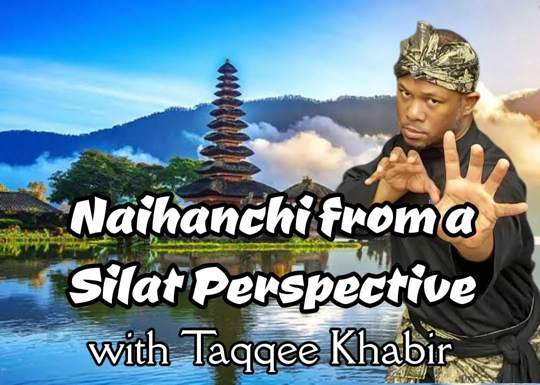 Naihanchi from a Silat Perspective with Taqqee Khabir