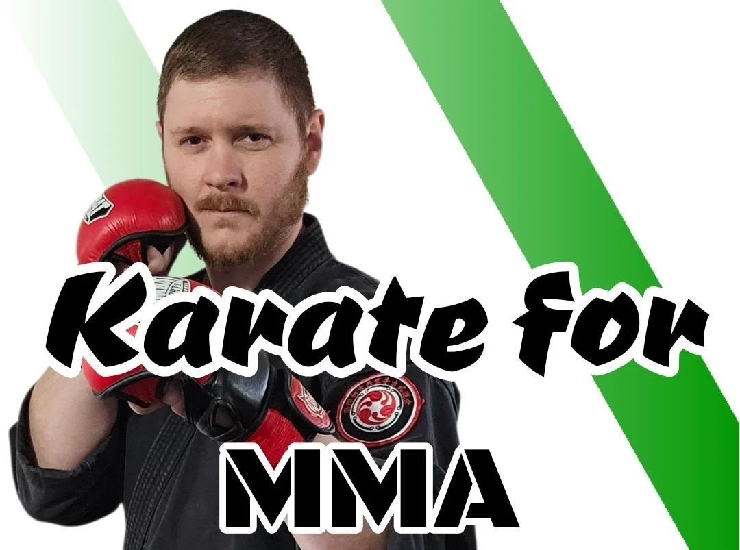 Karate for MMA with Noah Legel