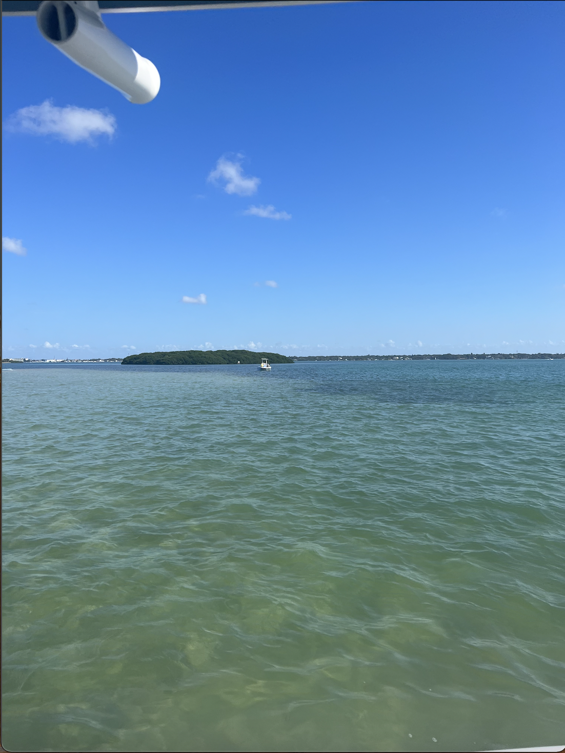 Screen Shot 2024-01-08 at 12.47.20 PM.png