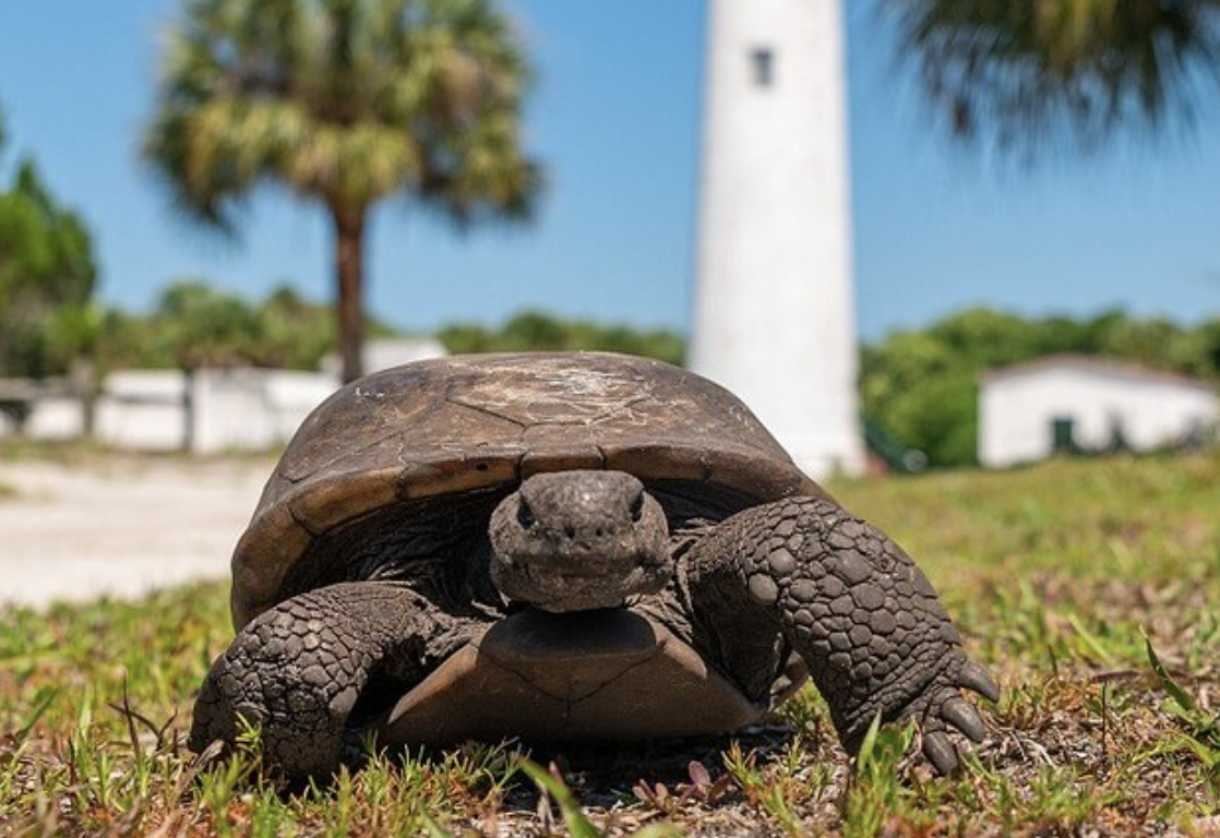 Screen Shot 2023-12-16 at 5.07.43 PM.png