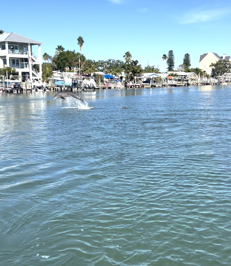 Screen Shot 2024-01-08 at 1.04.02 PM.png