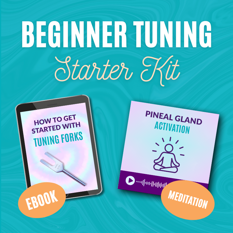 Beginner Tuning Starter Kit Cover.png