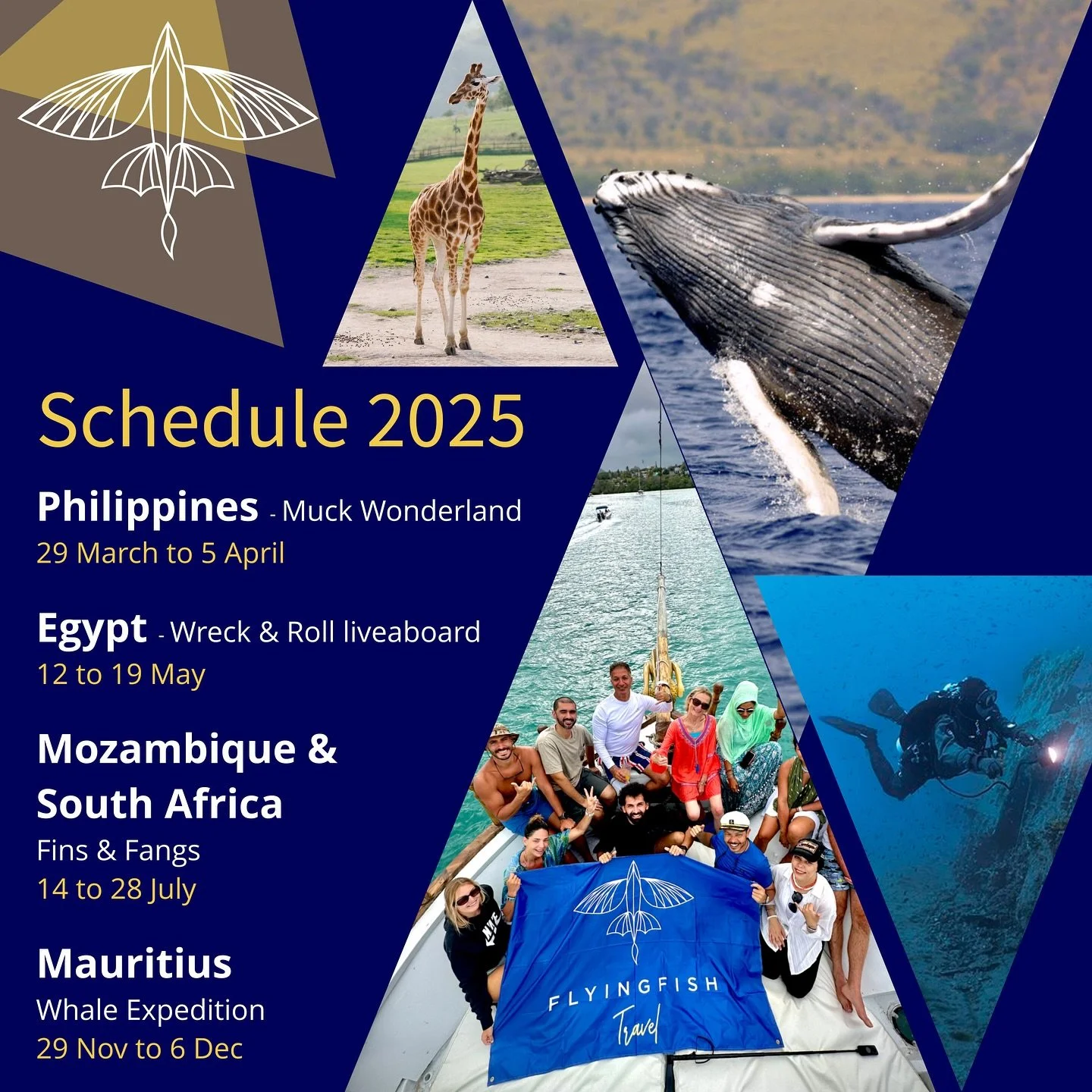Are You Ready for Season 4? 🤿 ✈️ 🗓️

1- Philippines 🇵🇭 - Muck Wonderland 🐙
29 March to 5 April - Eid Al Fitr 

Discover Dumaguete&rsquo;s world of muck diving, where rare marine treasures await. Atmosphere resort&rsquo;s chic accommodation, exqu